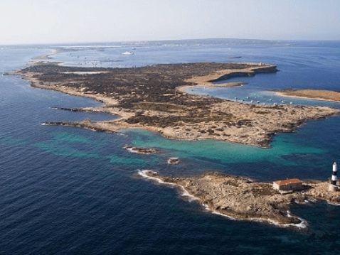 Visit the island of Espalmador in Formentera