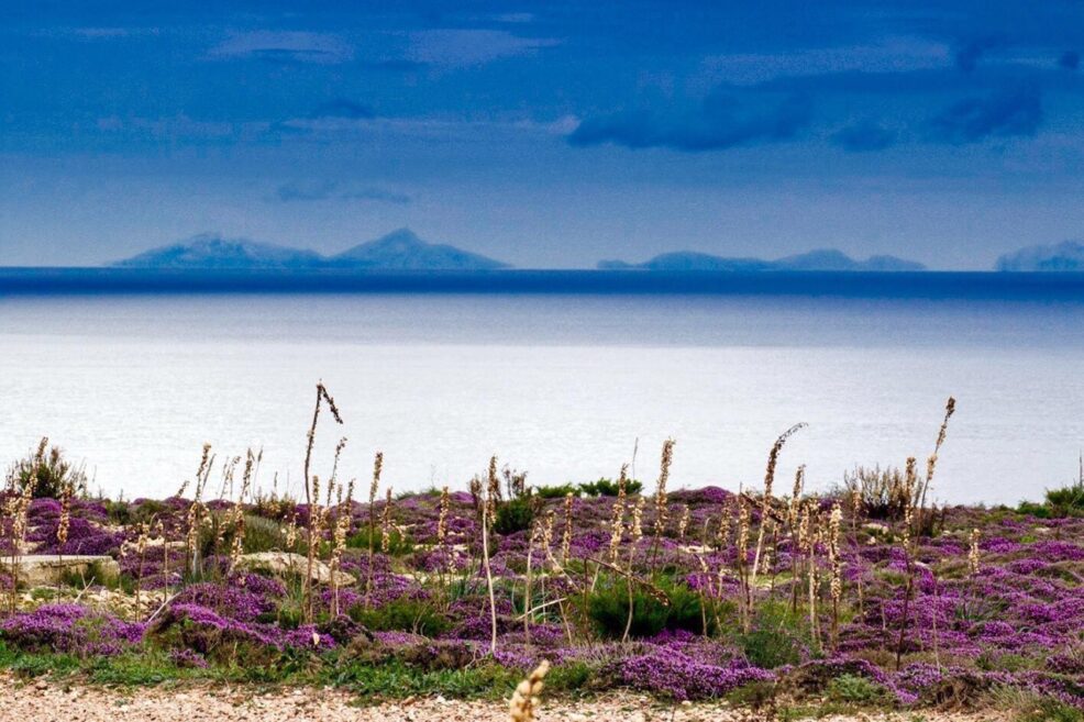Le printemps à Formentera