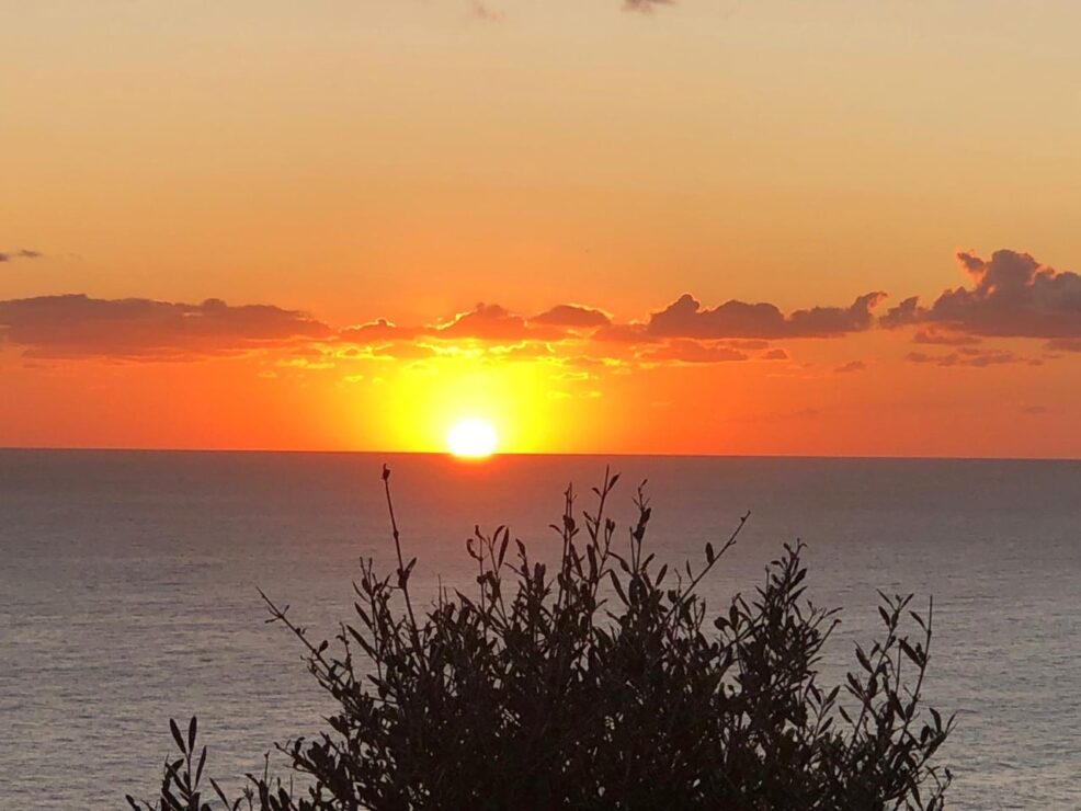 Formentera, une île tranquille II