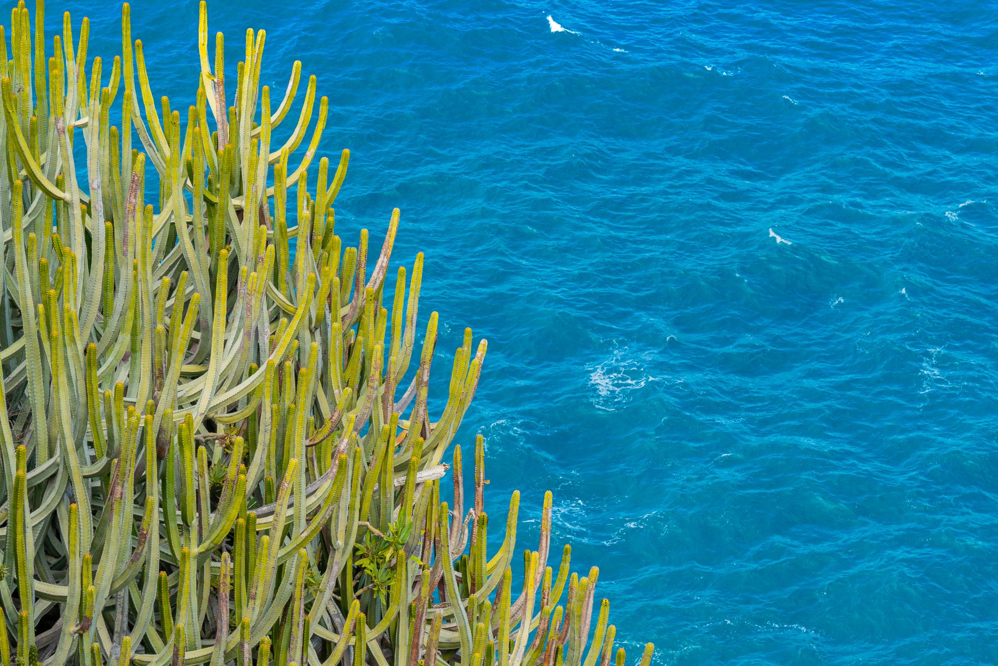 paisaje de Formentera